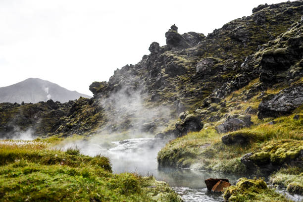 Hot spring with beautiful vegetation in the Icelandic mountains.