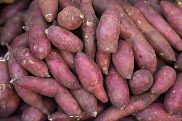 istock Purple japanese potatoes 1306662968