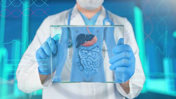 examen médico del estómago humano - intestino fotografías e imágenes de stock