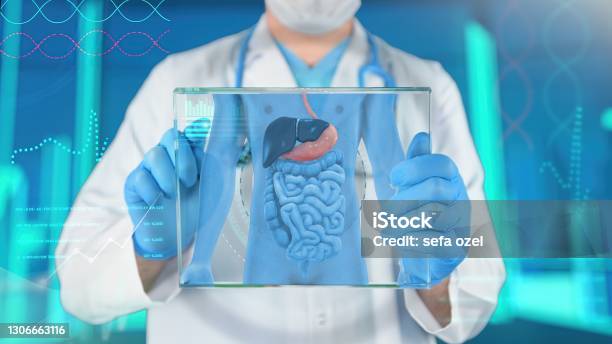 Human Stomach Medical Exam Stock Photo - Download Image Now - Abdomen, Healthcare And Medicine, Cancer - Illness