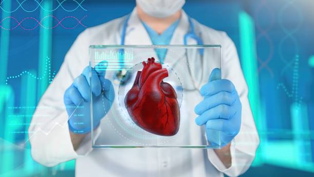 esame medico cardiaco - aorta foto e immagini stock