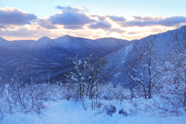 istock snowy winter landscape 1306665935