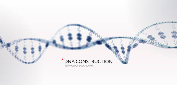 ilustrações de stock, clip art, desenhos animados e ícones de dna abstract background - dna helix helix model symmetry
