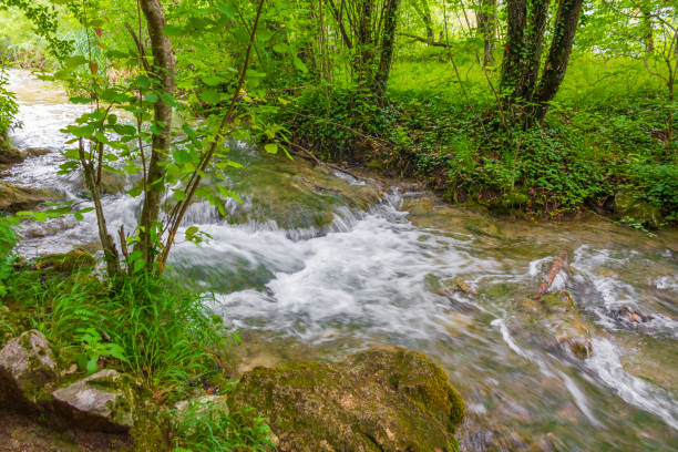 istock Plitvice Lakes National Park landscape waterfall flows over stones Croatia. 1306666569