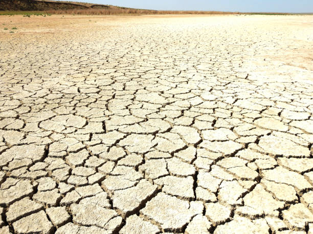 istock dry bottom of the reservoir 1306668241