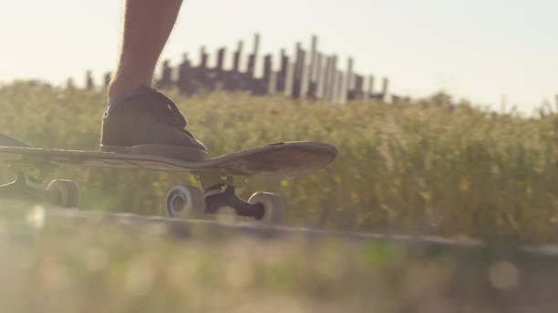 istock Skateboarder rolling next to wheat field with epic sunset and sun flares 1306668340