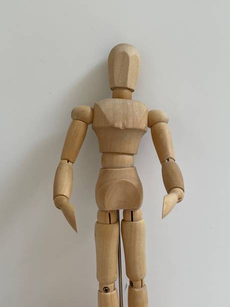 istock Wooden model and brushes 1306669269