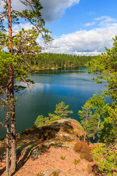 istock View of a lake in a coniferous forest 1306672935