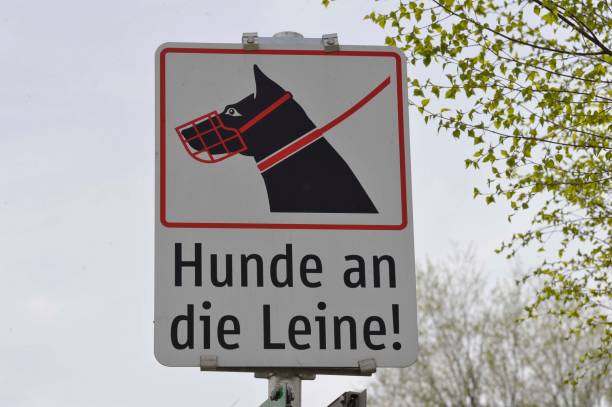 a leash obligation for dogs sign, dog without leash is prohibited