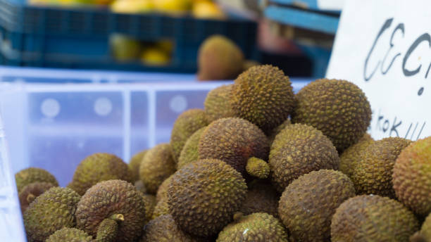 Jackfruit stock photo