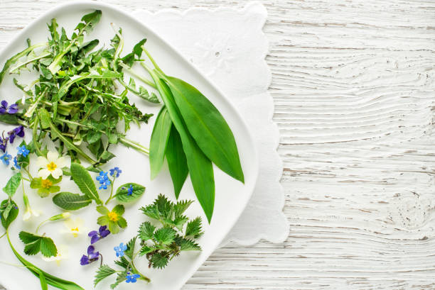 istock Healthy spring plants food ingredients. 1306679417