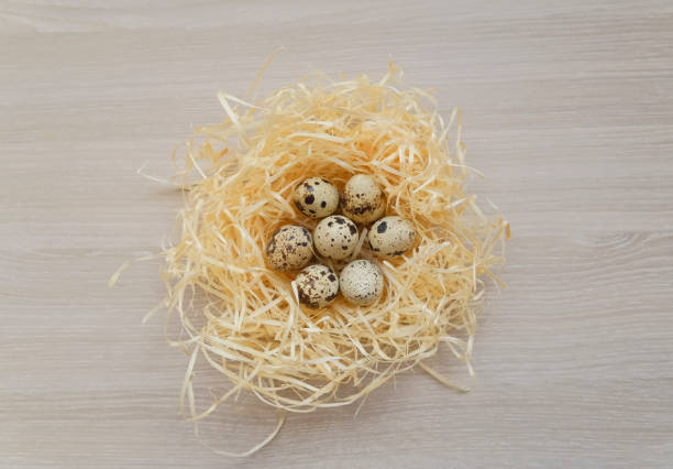 istock Easter eggs decorative flatlay minimalist concept on the wooden background, decor for springtime, Easter holiday symbol, simple design 1306684295