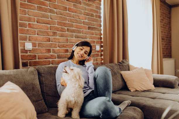 istock enjoy the afternoon on the sofa with my dog 1306684428