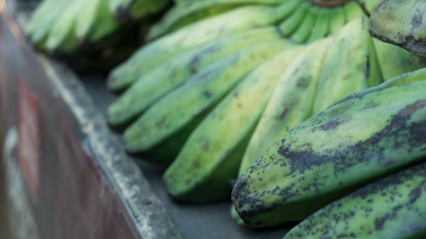 Green Banana with black spots stock photo