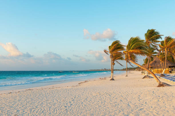 Tulum Beach, Mexico Tulum beach at sunrise, Yucatan, Mexico. yucatan stock pictures, royalty-free photos & images