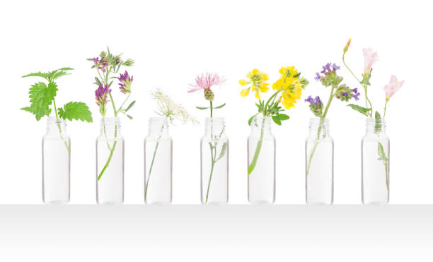 istock Flower BACH, the remedy - essential oil. Bottle set. 1306692575