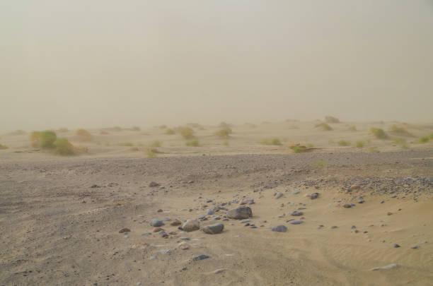 Sandstorm in desert. Danakil Depression. Ethiopia, Afar Depression (Afar Triangle) danakil desert photos stock pictures, royalty-free photos & images