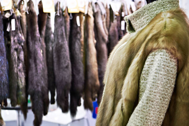 istock Samples of natural fur in store 1306696910