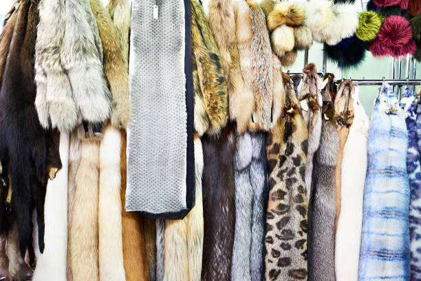 istock Samples of natural fur in store 1306697126