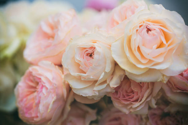 istock Bouquet of roses 1306697156