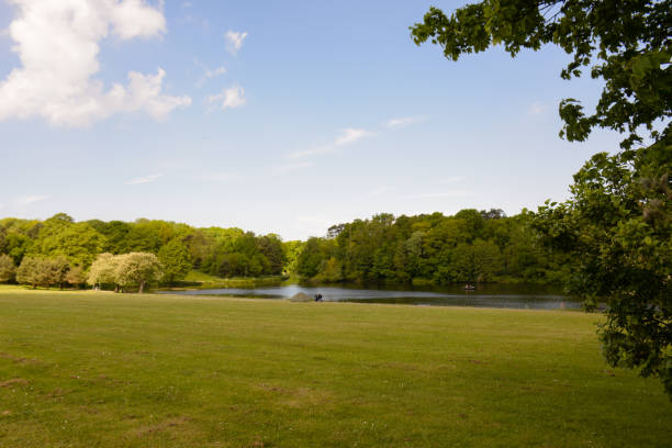 istock View of the lake and meadow 1306698883