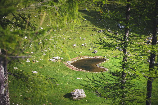 Green alpine meadow with small heart shaped pond.