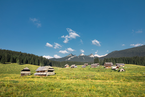 Traditional herdsmen's settlement with pastures in the mountains (Pokljuka, Slovenia).