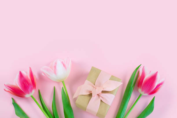 istock Colorful tulips and gift box on pink background. 1306702486