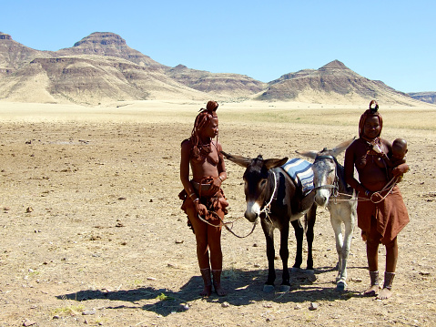 Horizontal photo of two Himba women wearing traditional clothing, jewellery, hairstyles and cowhide head decoration denoting their married status, standing with their two donkeys on the desert sand in the arid landscape of northern Namibia. One woman holds her young baby.