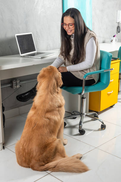 istock woman with dog at work 1306706709