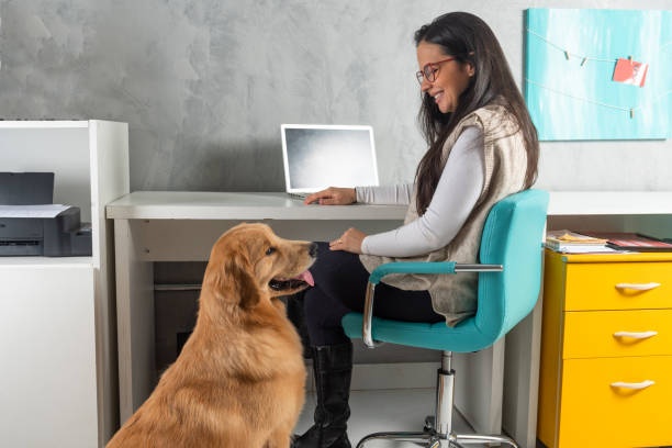 istock woman with dog at work 1306706726