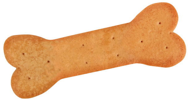 istock Dog food biscuit cracker shaped like bone isolated on white background 1306708557