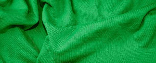 istock green cotton fabric with visible details. background 1306711120