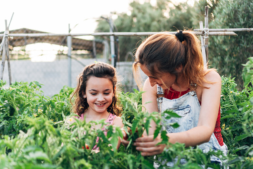 portrait of 2 women who take care of their home garden and ecological outdoors. They smile happily as they watch their plants grow.