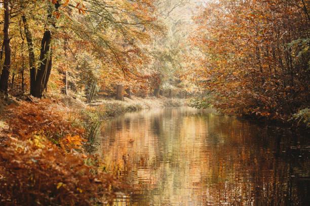 istock Landscape view of canal in fall with reflections and ripples 1306712250
