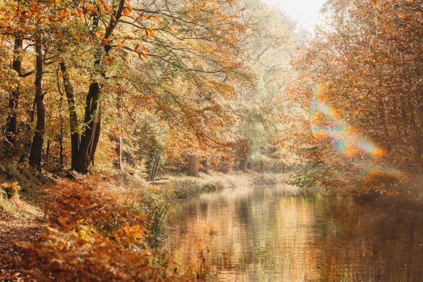 istock Landscape view of canal in fall with reflection and light flare 1306712258