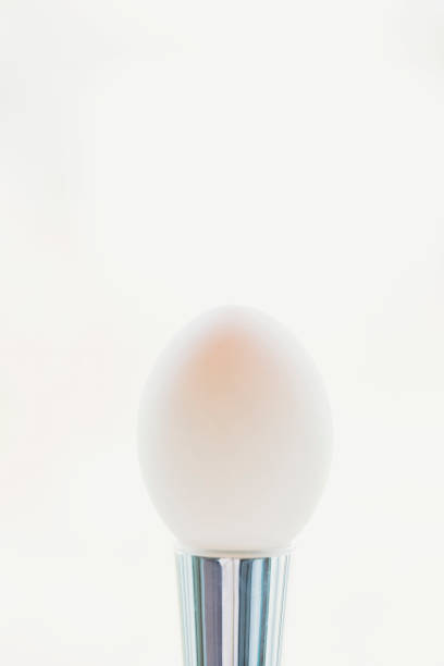 white duck egg on silver stand against a white background - chicken egg audio imagens e fotografias de stock