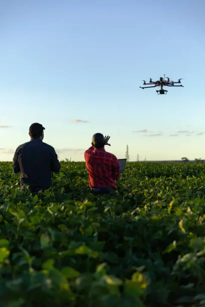 Photo of Drone in soybean crop.