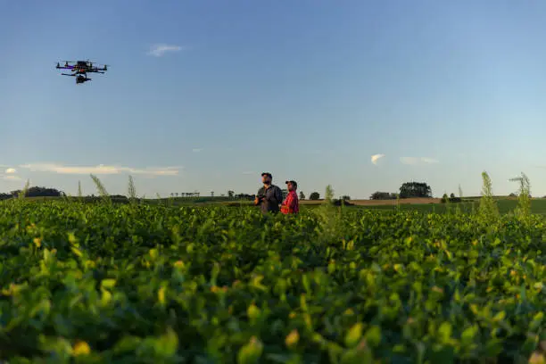 Photo of Drone in soybean crop.