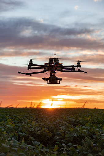 Drone no copyright in a soybean field,