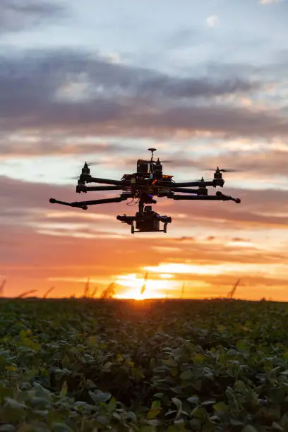 Photo of Drone in soybean crop.