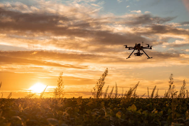 drone en cultivo de soja. - dron fotos fotografías e imágenes de stock