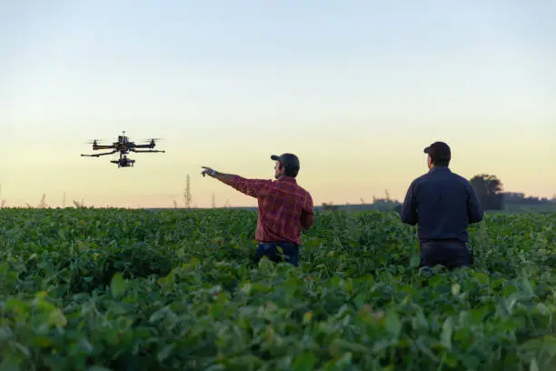 Photo of Drone in soybean crop.