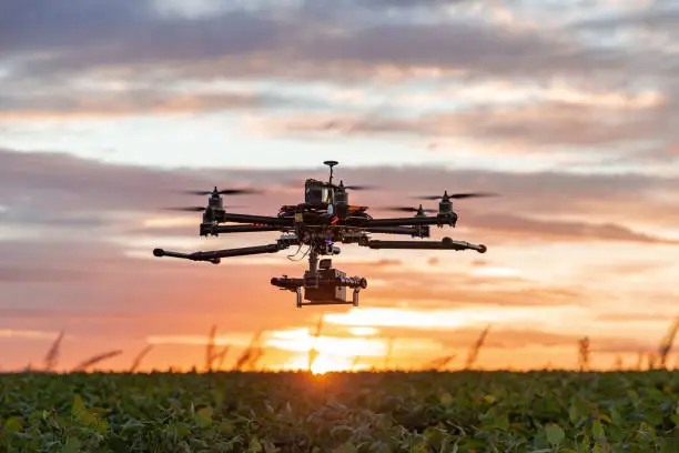 Photo of Drone in soybean crop.