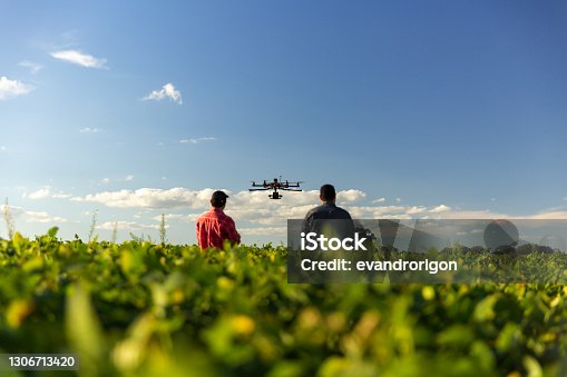 istock Drone in soybean crop. 1306713420