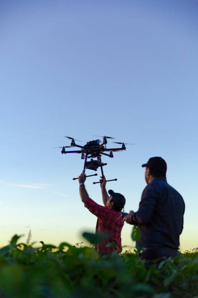 istock Drone in soybean crop. 1306713424