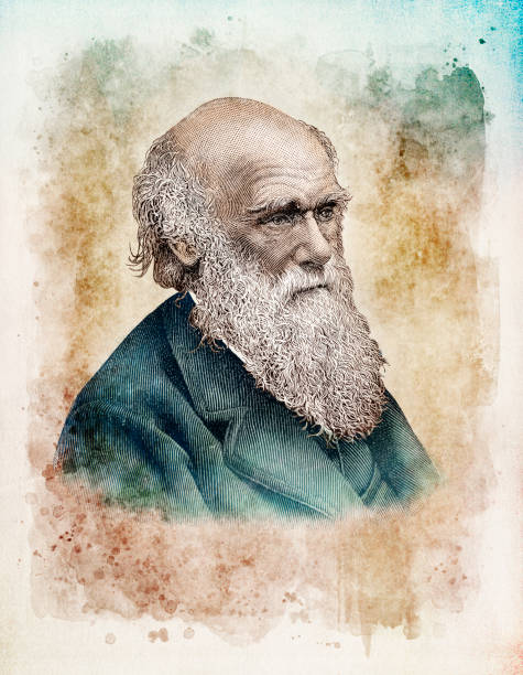 charles darwin wissenschaftler naturalist porträt - charles darwin engraved image old fashioned etching stock-grafiken, -clipart, -cartoons und -symbole