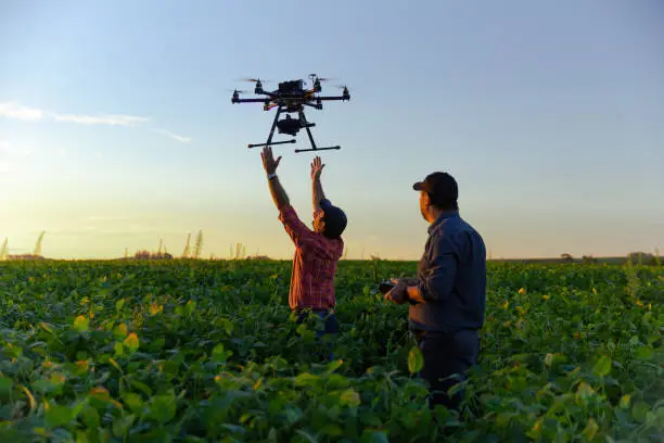 Photo of Drone in soybean crop.