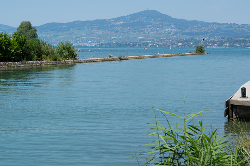 Panoramic landscape of nature birds reserve at lake Geneva at Villeneuve, canton Vadt in Switzerland in summertime.