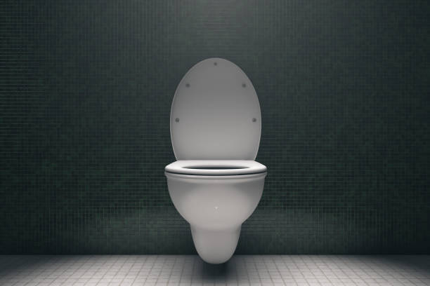 Toilet bowl in the restroom. Dramatic lighting.